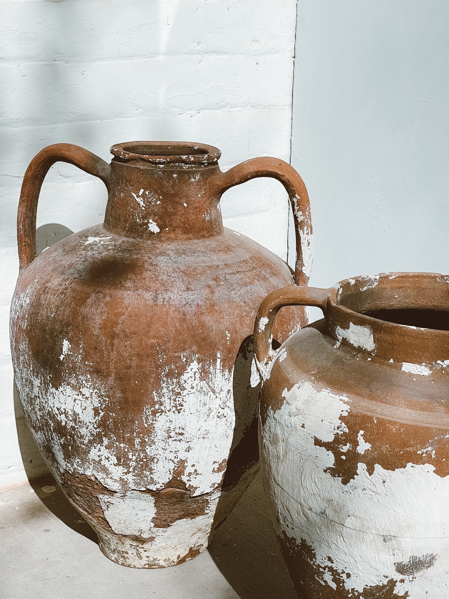 Pots & Planters