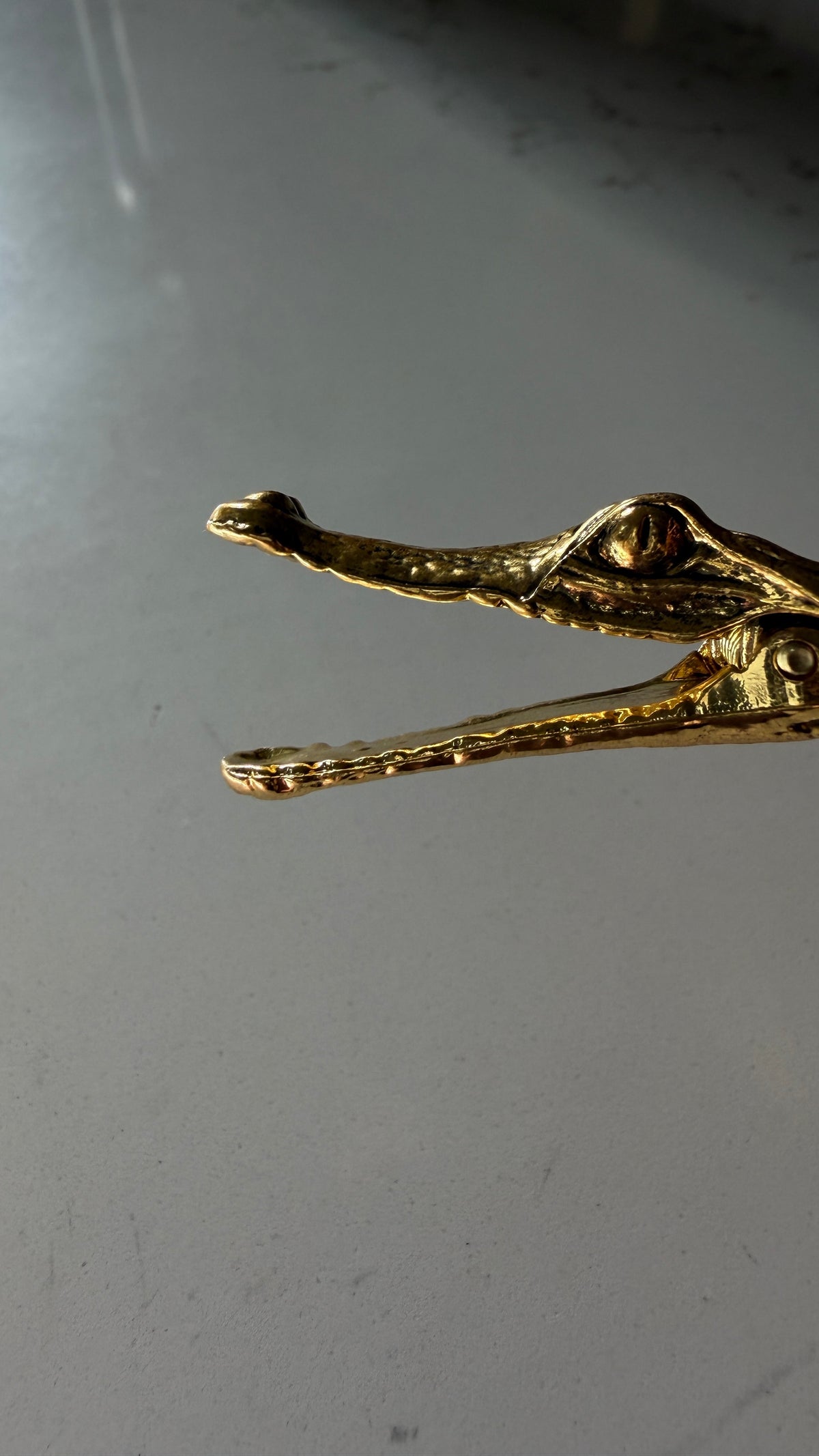 Golden Crocodile Chip Clip