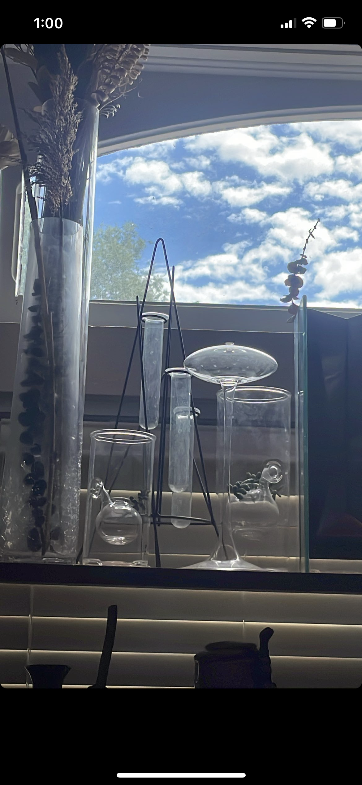 Trio Plant Propagator for Kayla