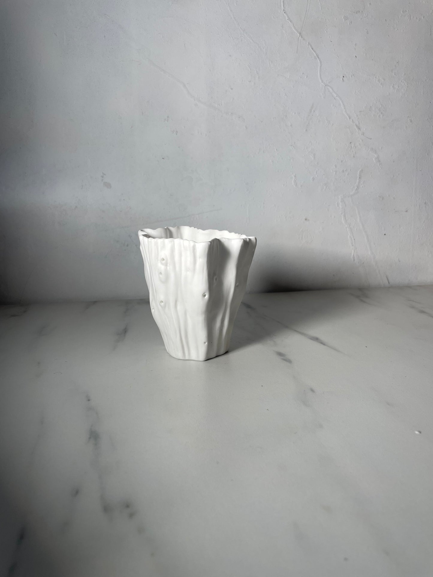 Fine Bone China Cactus Votive