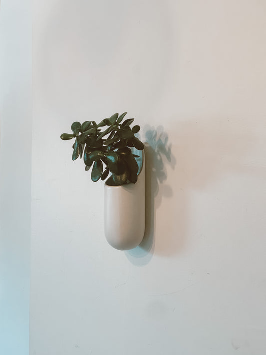 Shane Powers West Elm Ceramic Wall Planter