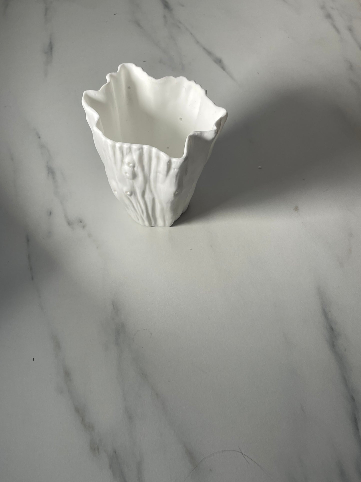 Fine Bone China Cactus Votive