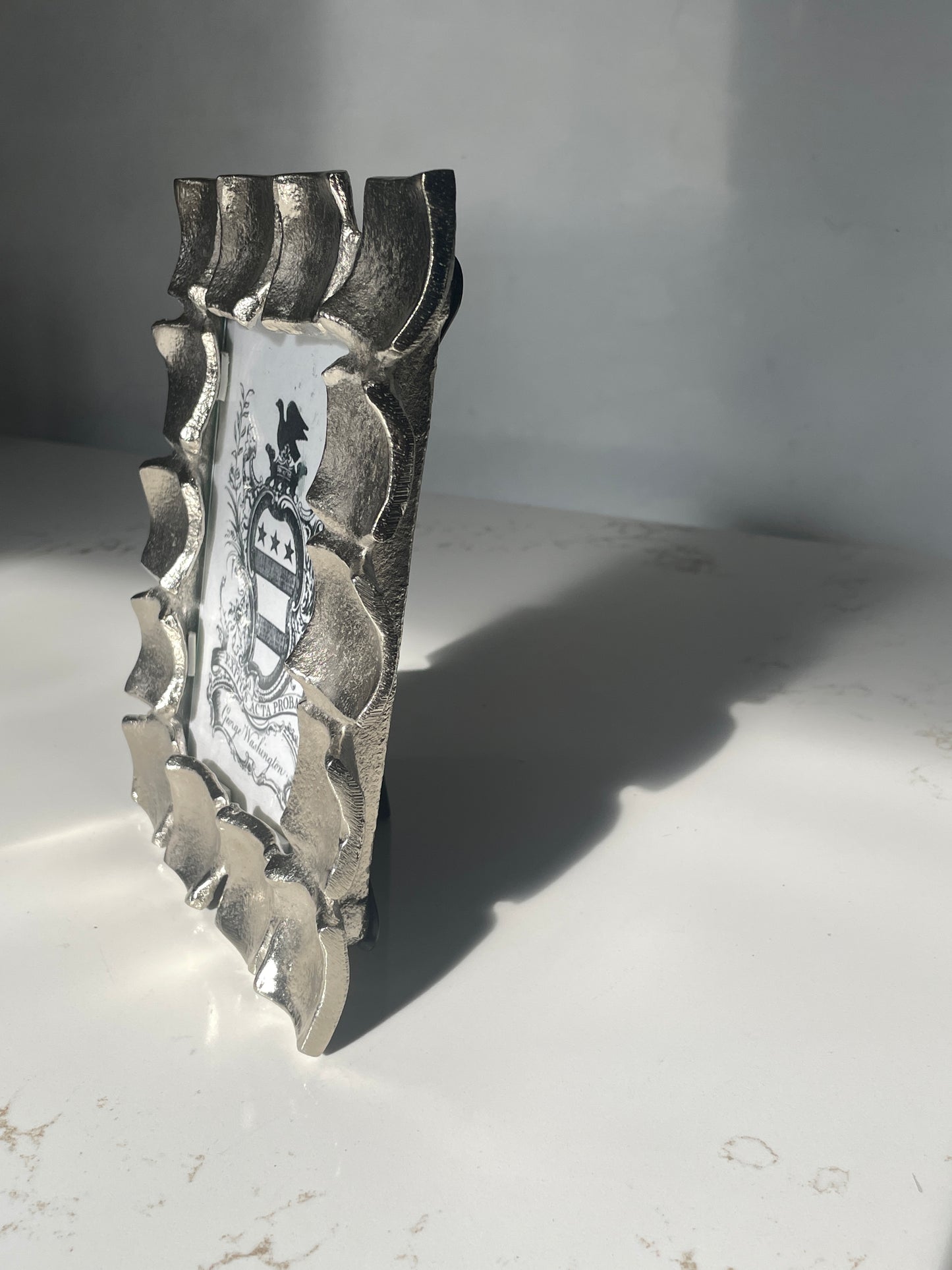 Wildwood Silver Shoe Buckle Frame