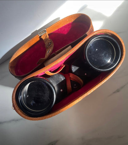 Vintage Binoculars and Leather Case